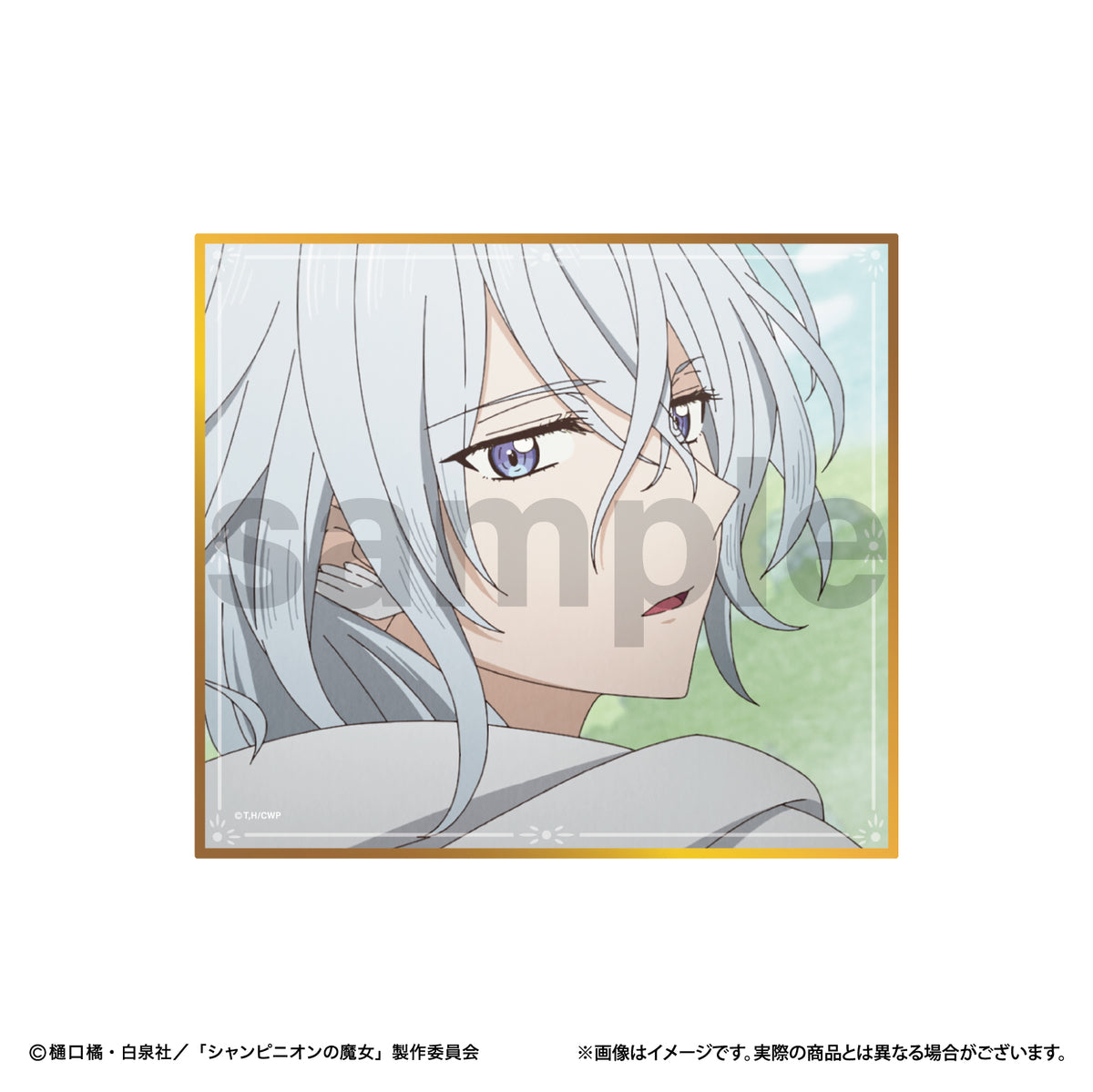 D-6 ミニ色紙 鳥の魔法使い